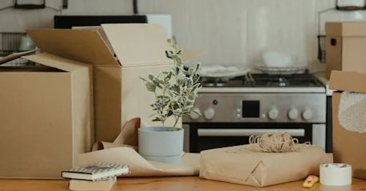 Ghid esențial pentru alegerea cutiei potrivite